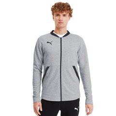 Джемпер для мужчин Puma teamFinal 21 Casuals M 656491-37 цена и информация | Мужские толстовки | kaup24.ee