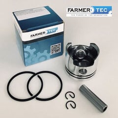 Поршневой комплект для триммера 52cc FARMERTEC цена и информация | Запчасти для садовой техники | kaup24.ee
