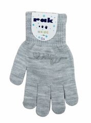 Перчатки для девочек Rak R-012A, светло-серые цена и информация | Зимняя одежда для детей | kaup24.ee