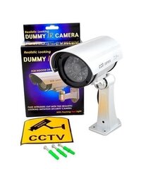 Stebėjimo kameros muliažas цена и информация | Камеры видеонаблюдения | kaup24.ee