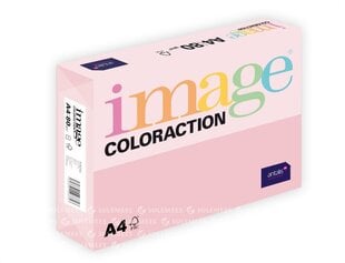 Värviline paber Tropic, 80g/m2, A4, 500 lehte, pastelne roosa hind ja info | Vihikud, märkmikud ja paberikaubad | kaup24.ee