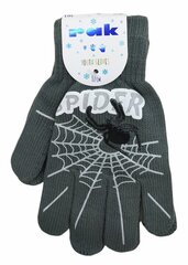 Утепленные перчатки для мальчиков Rak R-118DB Spider, серые цена и информация | Зимняя одежда для детей | kaup24.ee