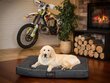 Hobbydog madrats Black Ekolen M, 70x50 cm цена и информация | Pesad, padjad | kaup24.ee
