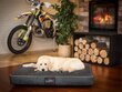 Hobbydog madrats Black Ekolen M, 70x50 cm цена и информация | Pesad, padjad | kaup24.ee