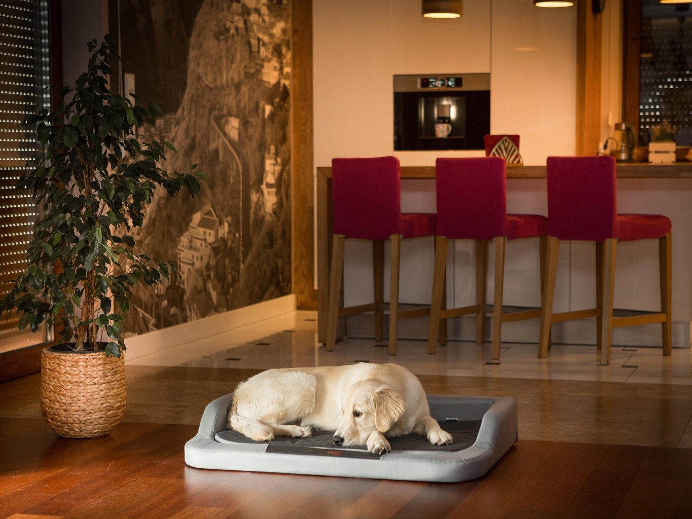 Hobbydog pesa Medico Standard Helehall Oxford/Graphite XL, 94x62 cm hind ja info | Pesad, padjad | kaup24.ee