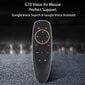 G10 Air Mouse hind ja info | Smart TV tarvikud | kaup24.ee