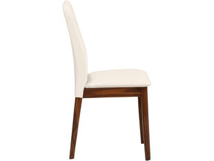 Комплект из 2 стульев Notio Living Winston, бежевый / темно-коричневый цена и информация | Стулья для кухни и столовой | kaup24.ee