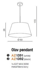 Azzardo светильник Olav AZ1391 цена и информация | Потолочный светильник, 38 x 38 x 24 см | kaup24.ee