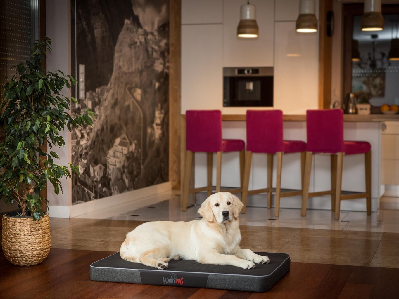 Hobbydog madrats Premium Black/Black Ekolen XL, 120x80 cm hind ja info | Pesad, padjad | kaup24.ee