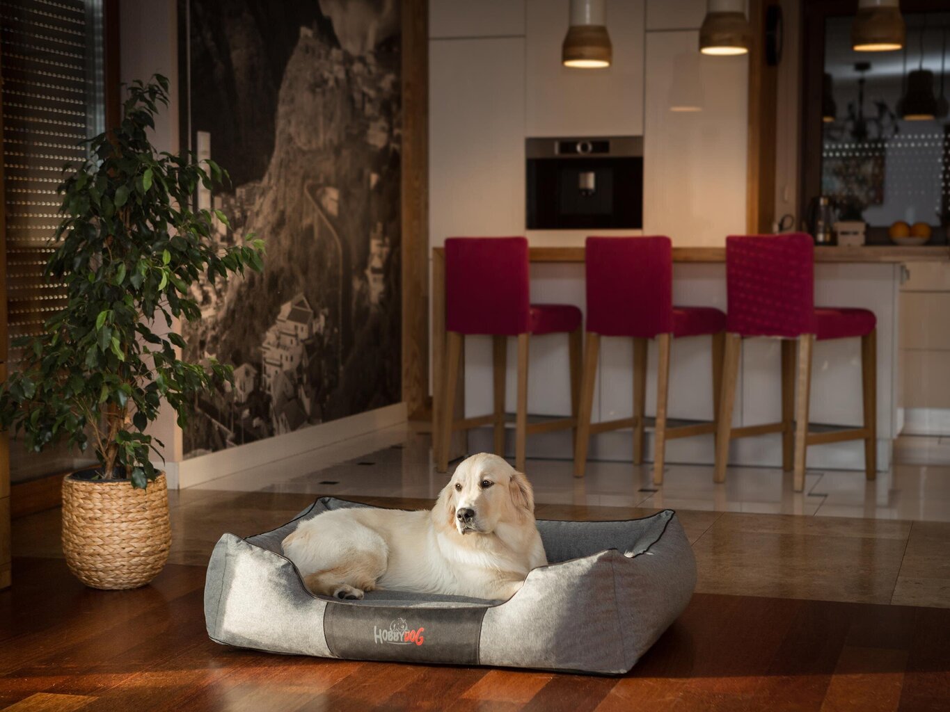 Hobbydog pesa Comfort Dark Grey Ekolen, L, 65x50 cm цена и информация | Pesad, padjad | kaup24.ee