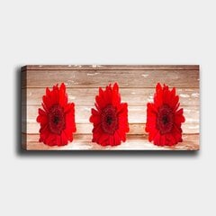 Репродукция Красные герберы цена и информация | Настенные деревянные декорации | kaup24.ee