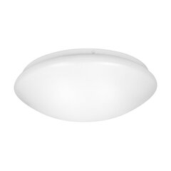 LED lamp 18W цена и информация | Потолочные светильники | kaup24.ee