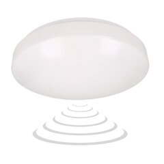 18W LED -valgusti mikrolaine anduriga цена и информация | Потолочные светильники | kaup24.ee