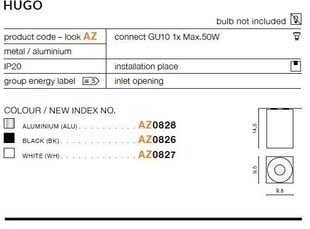 Azzardo laevalgusti Hugo 1 Black цена и информация | Потолочные светильники | kaup24.ee