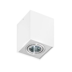 Azzardo потолочный светильник Eloy 1 White/Silver цена и информация | Потолочные светильники | kaup24.ee