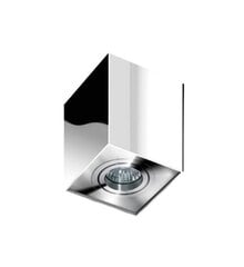 Azzardo потолочный светильник Eloy 1 Chrome цена и информация | Потолочные светильники | kaup24.ee