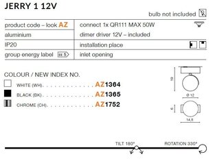 Azzardo светильник Jerry 1 12V AZ1365 цена и информация | Потолочные светильники | kaup24.ee