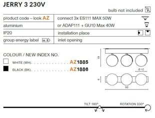 Azzardo laevalgusti AZ1885 Jerry 3 цена и информация | Потолочные светильники | kaup24.ee
