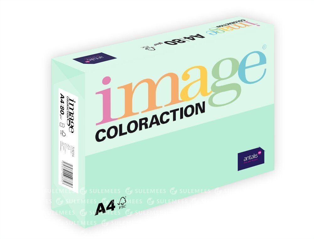 Värviline paber IMAGE COLORACTION Jungle, 80g / m2, A4, 500 lehte, roheline (roheline) цена и информация | Vihikud, märkmikud ja paberikaubad | kaup24.ee