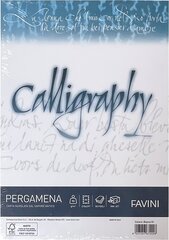 Kalligraafiapaber A4 Pergamena Bianco (01) 90gr, valge, 50 lehte pakis цена и информация | Канцелярские товары | kaup24.ee