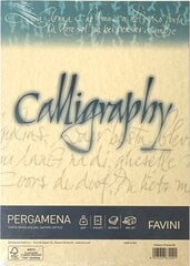 Kalligraafiapaber A4 Pergamena Crema (05) 90gr, kreem, 50 lehte pakis hind ja info | Kirjatarbed | kaup24.ee