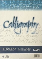 Kalligraafiapaber A4 Pergamena Naturale (06) 90gr, loodusvalga, 50 lehte pakis цена и информация | Канцелярские товары | kaup24.ee