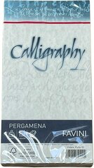 Kalligraafiaümbrik C65 Pergamena Perla (10), pärlvalge, 25tk pakis hind ja info | Kirjatarbed | kaup24.ee