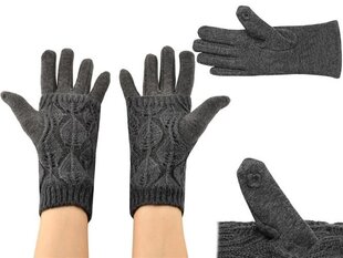 Женские теплые сенсорные перчатки 6412 цена и информация | Женские перчатки | kaup24.ee