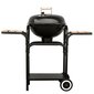 Aiagrill BBQ Line MIR270 hind ja info | Grillid | kaup24.ee