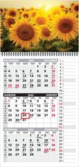 Seinakalender TRIO MEMO, avatuna 297x630mm (PILT nr. 9) цена и информация | Календари, ежедневники | kaup24.ee