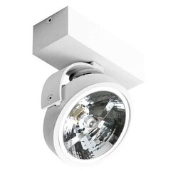 Azzardo потолочный светильник Jerry 1 12 V AZ1364 цена и информация | Потолочные светильники | kaup24.ee
