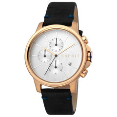 Мужские часы Esprit ES1G155L0035 цена и информация | Мужские часы | kaup24.ee