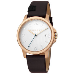 Мужские часы Esprit ES1G156L0035 цена и информация | Мужские часы | kaup24.ee