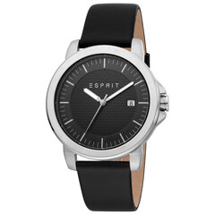 Мужские часы Esprit ES1G160L0015 цена и информация | Мужские часы | kaup24.ee