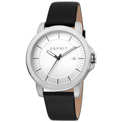 Мужские часы Esprit ES1G160L0045 цена и информация | Мужские часы | kaup24.ee