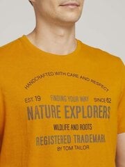 Мужская футболка Tom Tailor 1027413*10680 10680 4064269980592 цена и информация | Мужские футболки | kaup24.ee
