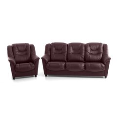 Pehme mööbli komplekt Mann, nahk, punane hind ja info | Pehme mööbli komplektid | kaup24.ee