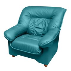 Кресло Spencer K, синее цена и информация | Кресла в гостиную | kaup24.ee