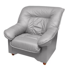 Кресло Spencer K, серое цена и информация | Кресла в гостиную | kaup24.ee