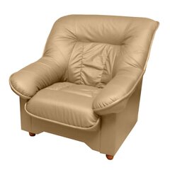 Кресло Spencer N, песочное цена и информация | Кресла в гостиную | kaup24.ee