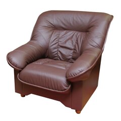 Кресло Spencer N, коричневое цена и информация | Кресла в гостиную | kaup24.ee