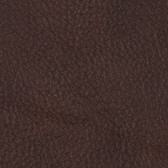 Диван-кровать Spencer 3N, темно коричневый цена и информация | Диваны | kaup24.ee