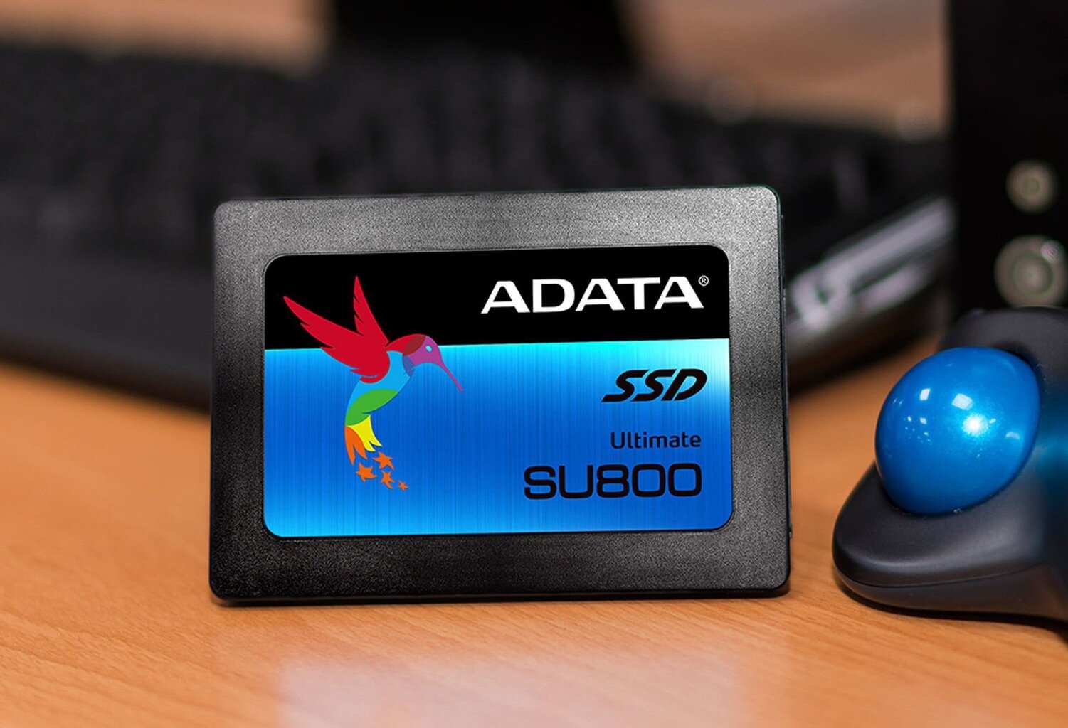 A-Data SSD Ultimate SU800 128GB SATAIII ASU800SS-128GT-C цена и информация | Sisemised kõvakettad (HDD, SSD, Hybrid) | kaup24.ee