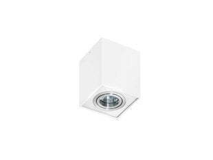 Azzardo потолочный светильник Eloy 1 White цена и информация | Потолочные светильники | kaup24.ee