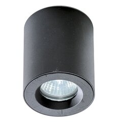Azzardo потолочный светильник Aro цена и информация | Потолочные светильники | kaup24.ee