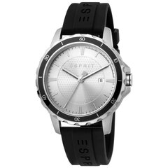 Мужские часы Esprit ES1G207P0015 цена и информация | Мужские часы | kaup24.ee