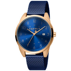 Мужские часы Esprit ES1G212M0085 цена и информация | Esprit Одежда, обувь и аксессуары | kaup24.ee