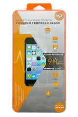 LCD kaitsev karastatud klaas Orange Apple iPhone 13/13 Pro цена и информация | Защитные пленки для телефонов | kaup24.ee