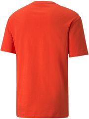 Puma Футболки Rad Cal Tee Grena Orange 589385 32/M цена и информация | Мужские футболки | kaup24.ee