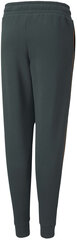 Брюки Puma Alpha Holiday Sweatpants Green 845634 80/164 цена и информация | Штаны для мальчика Nini | kaup24.ee